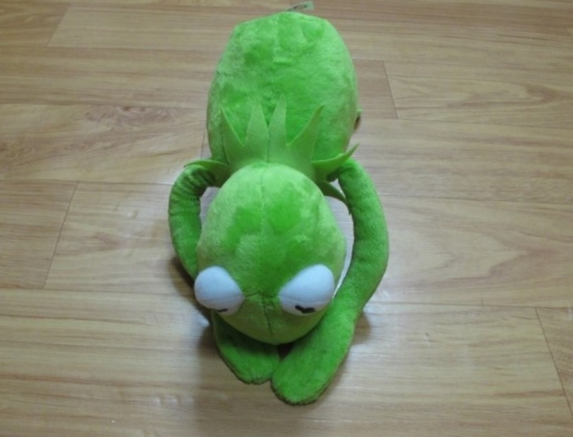 오늘도 천포냠냠(0)