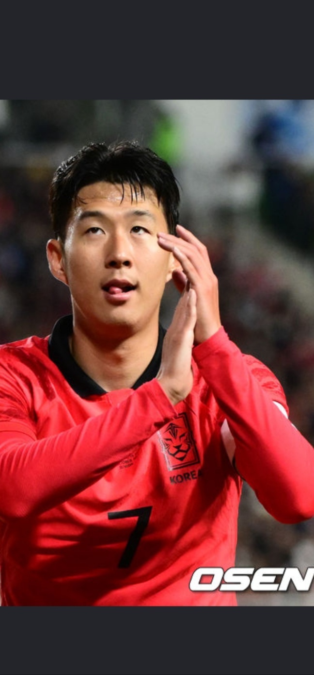 시연쌤 핑크꽃잎(0)