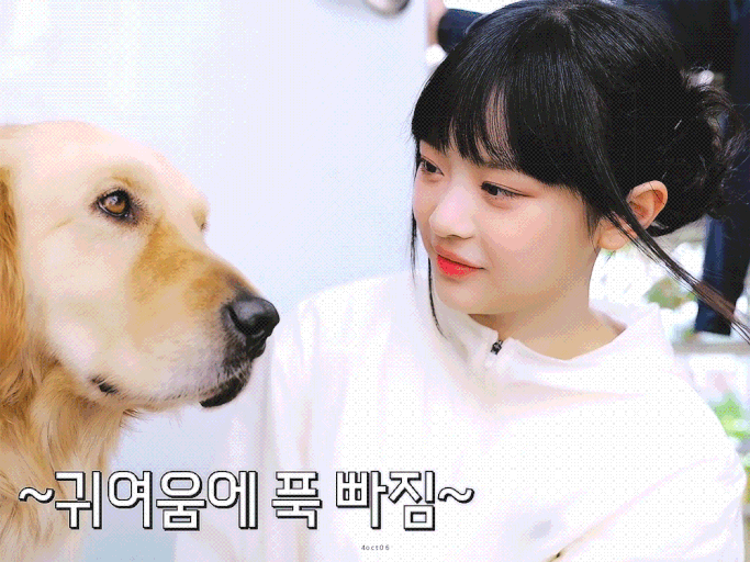 굿모닝 김치프리미엄 ㅋㅋ(0)