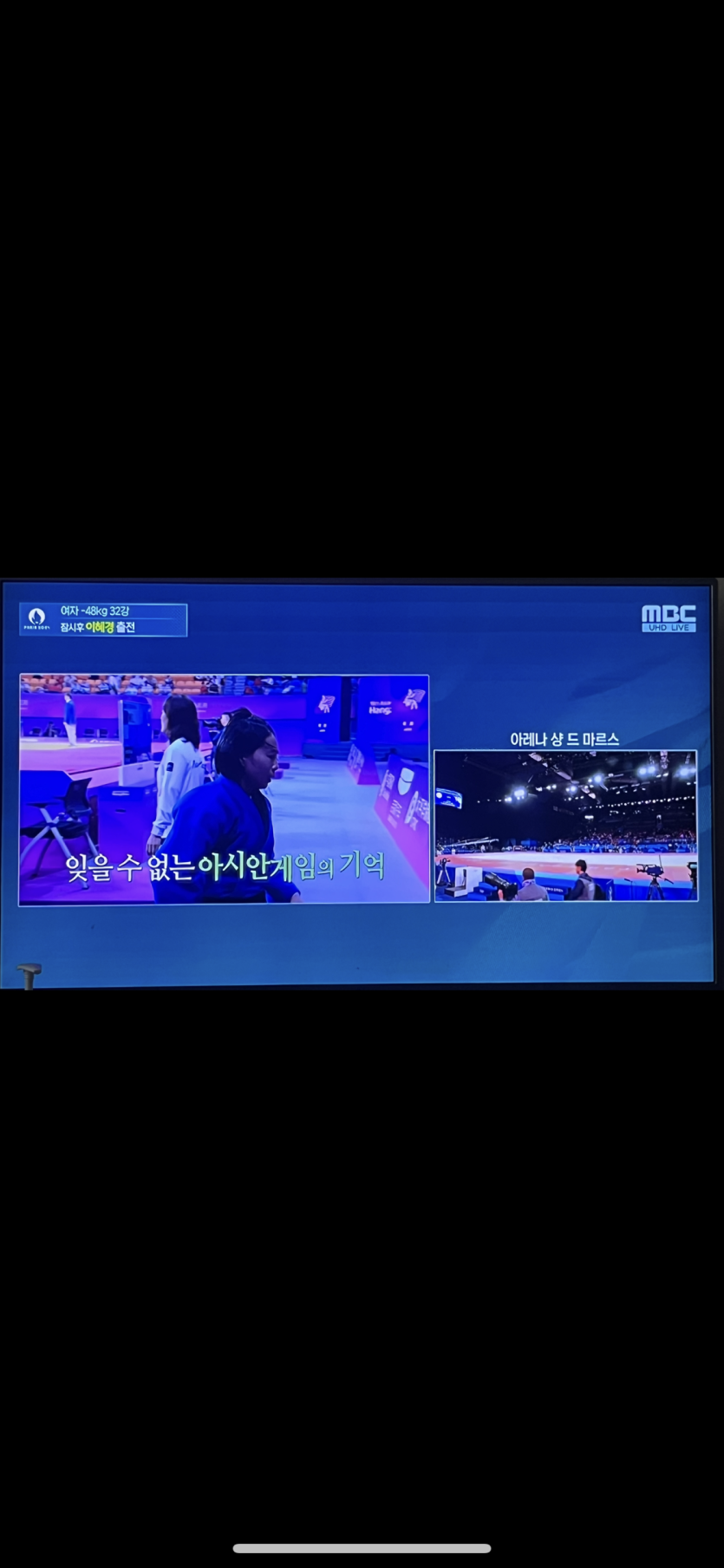 올림픽 이제 하나봐요(0)