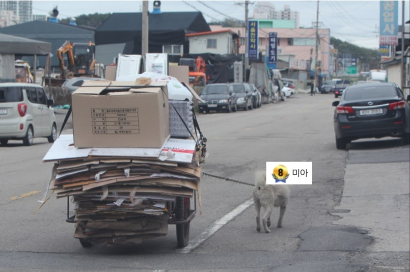굿모닝입니다 여러분 일어났어요(0)
