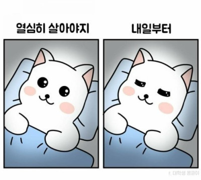 The love lee 들어가볼게요♥︎(0)