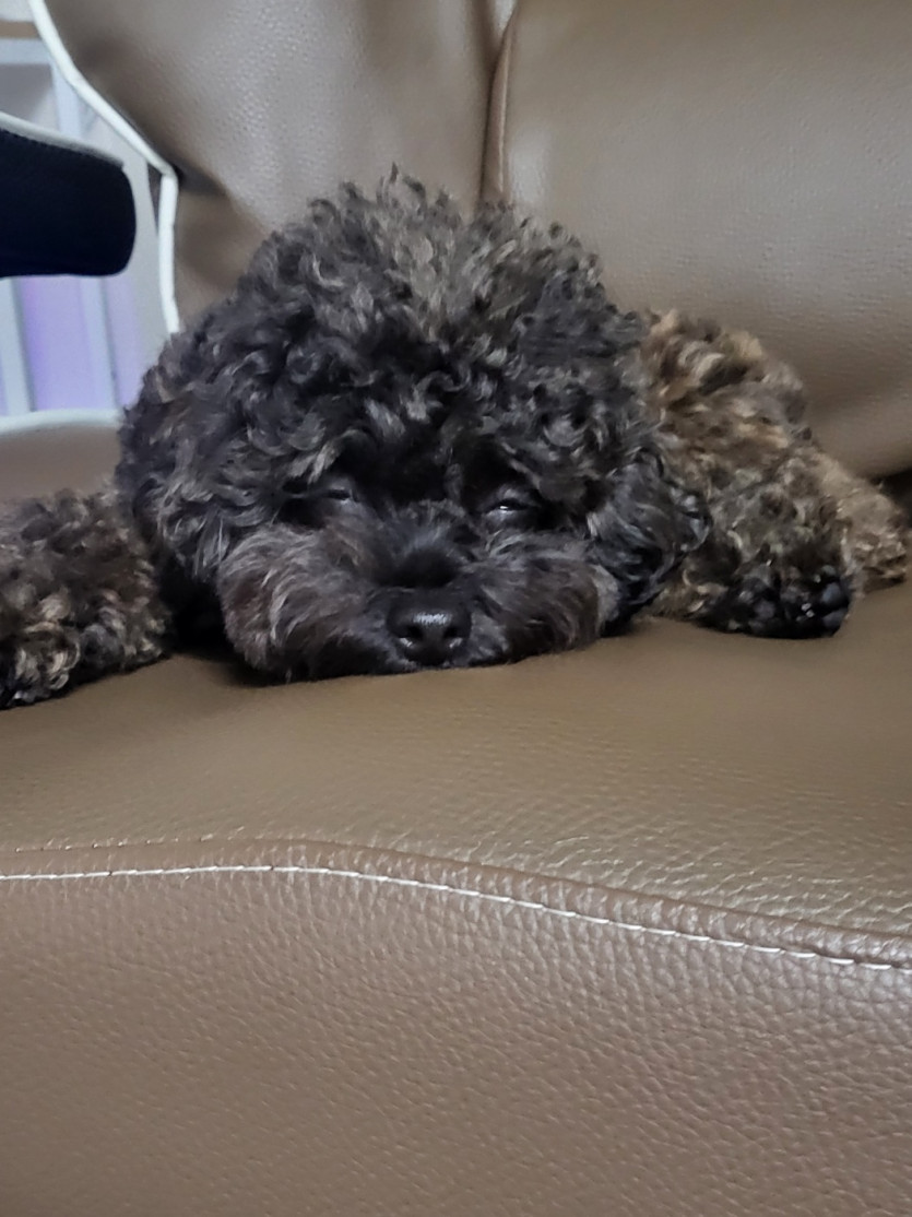 오늘의 할달량!(2)