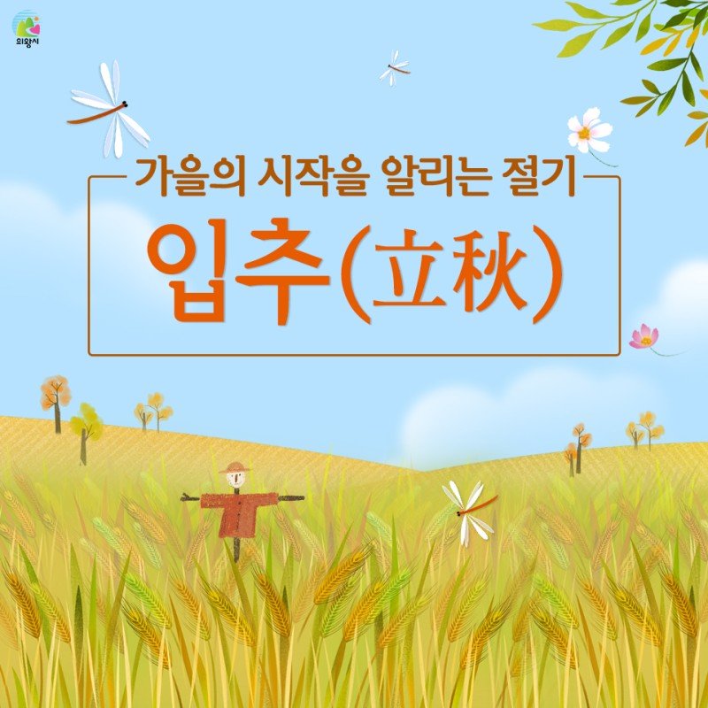 오늘이 입추네요(0)
