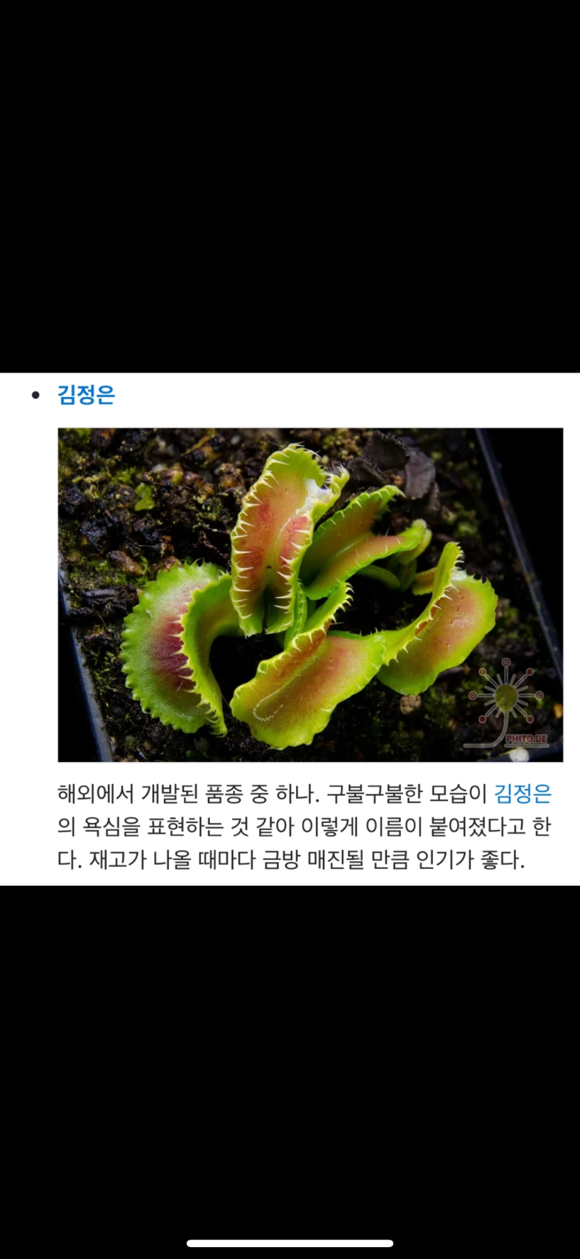 찐으로 신기한 식물이름(1)