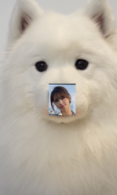 안녕하세요 명쓰입니다(0)