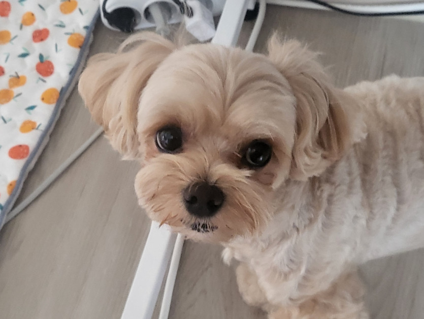어이 집사~ 어여 내놔~(1)