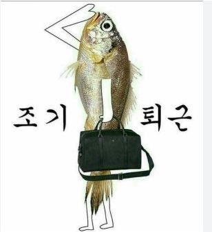 다들 즐퇴하세요(0)