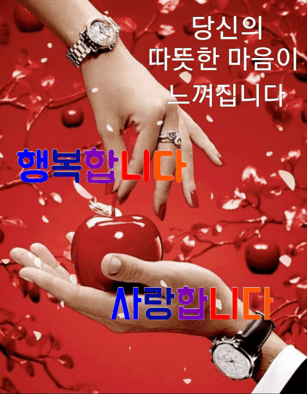 금일 댓노 부장 입니다.(1)