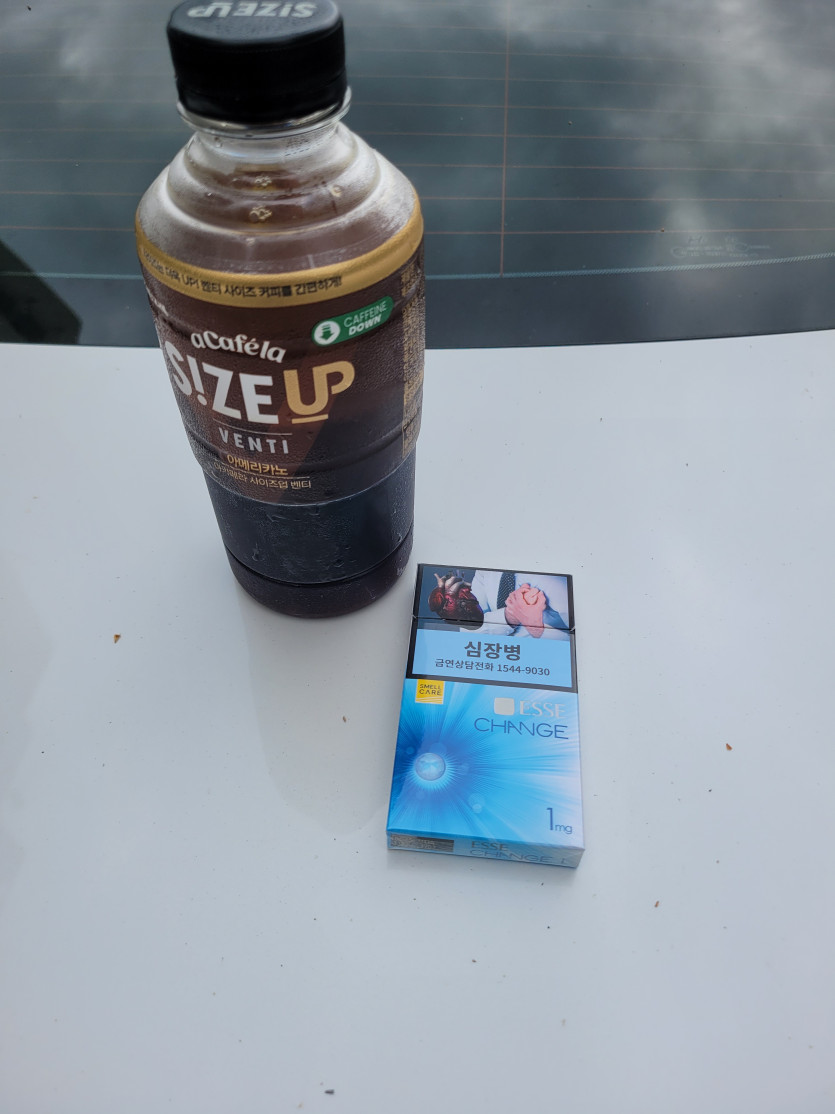 오후 담타를 합니다(0)