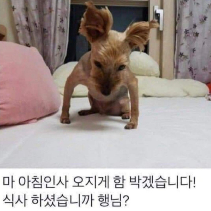 굿모닝 인사박습니다 ㅋ(0)