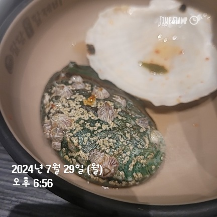 님들 이거 따개비아닌가요?(0)