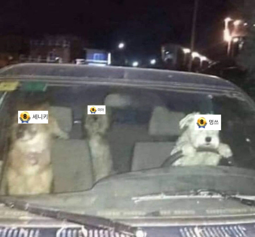 안녕하세요 0포족입니다(0)