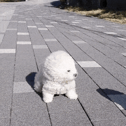 일보기는 정말 당첨(0)