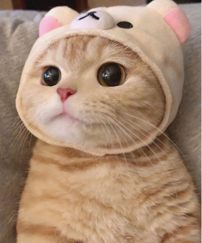 자게 1페이지는 사랑 입니다(0)