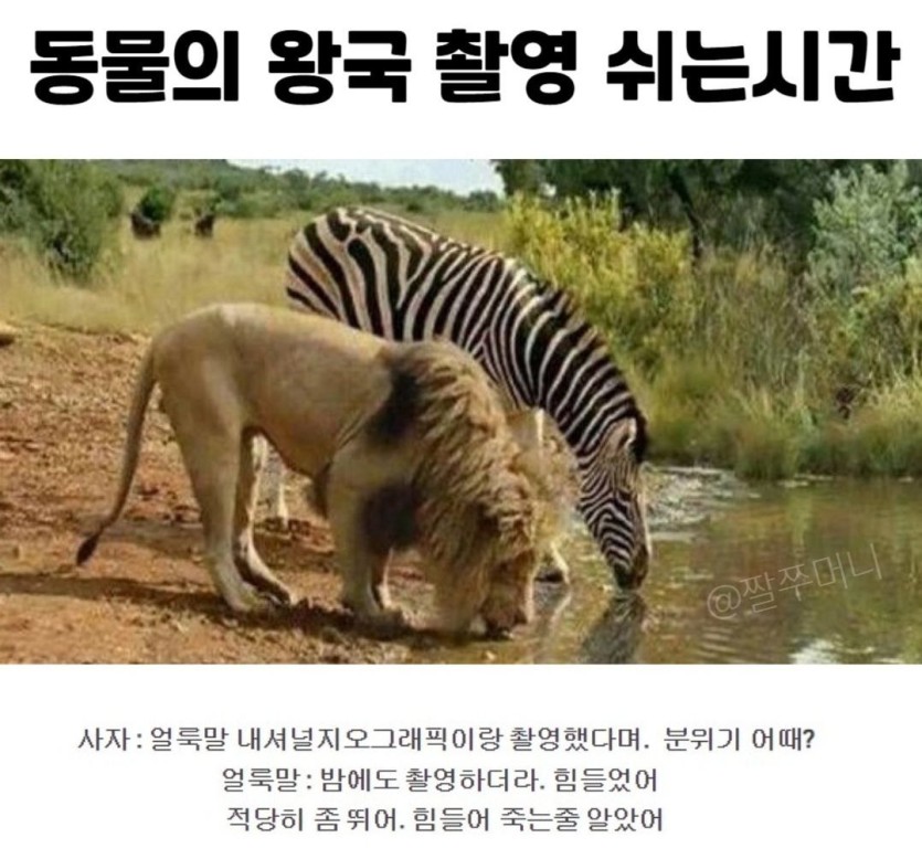 즐퇴 준비합시다(0)
