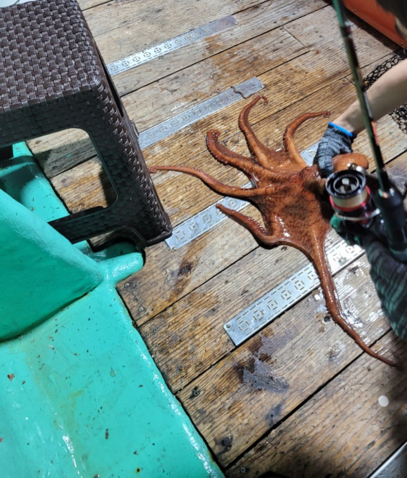 자랑좀해도되나요?(0)