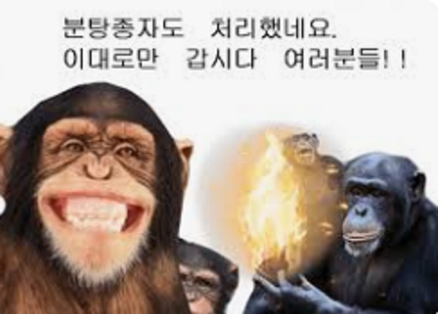 밑에 배부른 멍쓰 분탕짐승은 제가 처리했습니다(0)