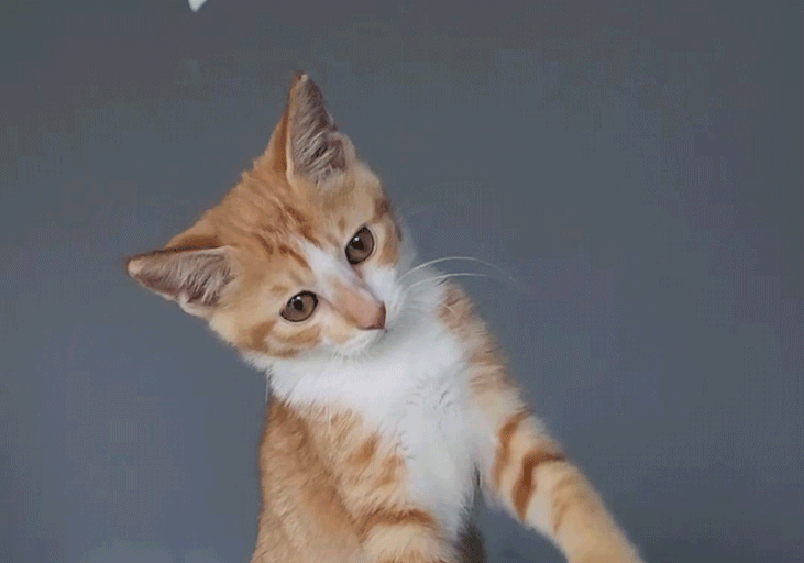 즐퇴하세요^________^(0)