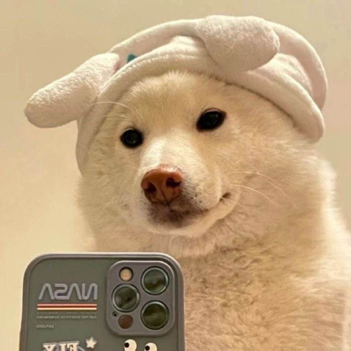 출석완료!(0)