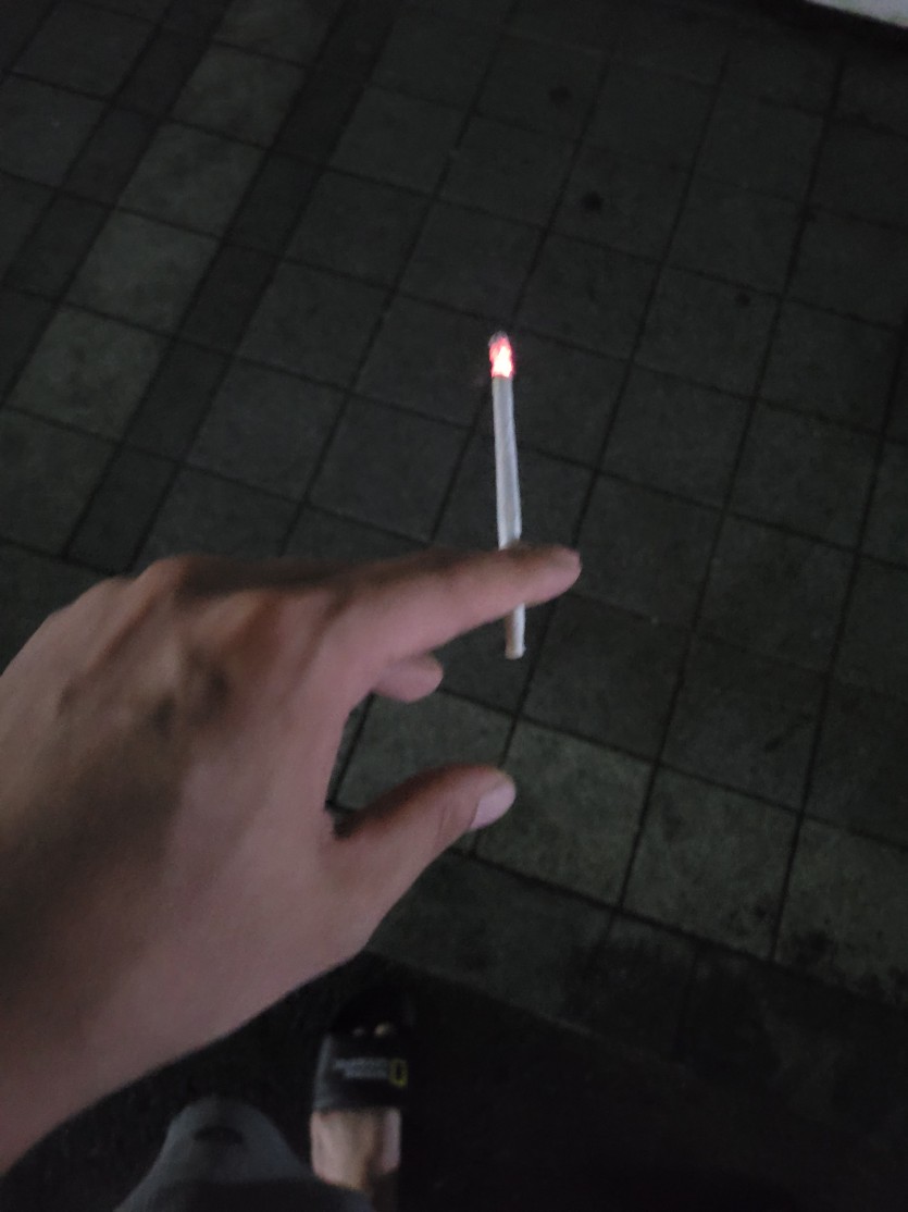 오늘 마지막 담타입니다(0)