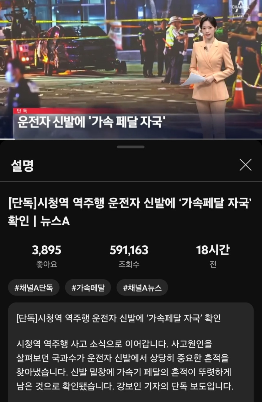시청역 역주행 운전자 신발에서 가속페달자국나와(0)