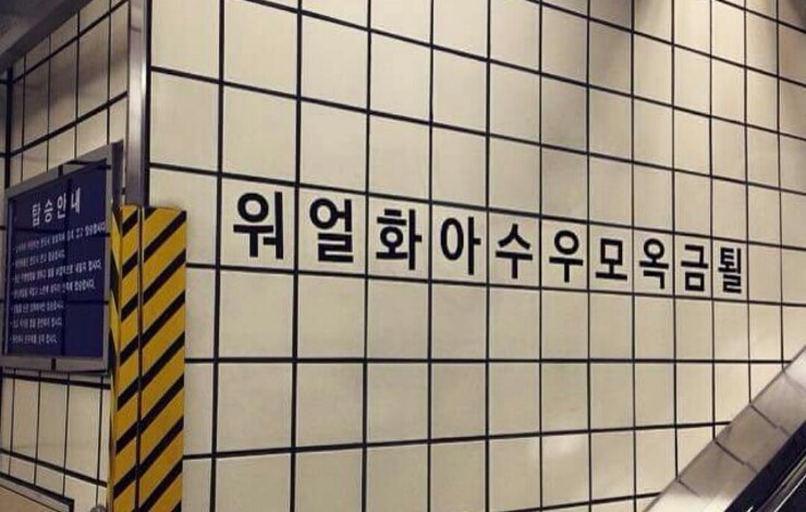 일요일은 있다가도 없다ㅋㅋ(0)