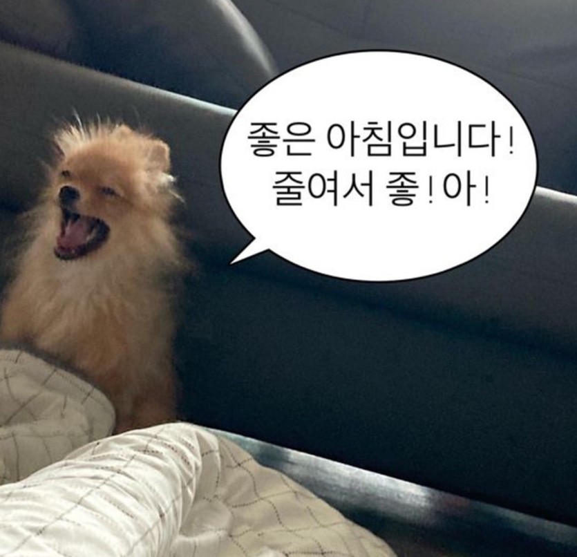 굿모닝 입니다!(0)