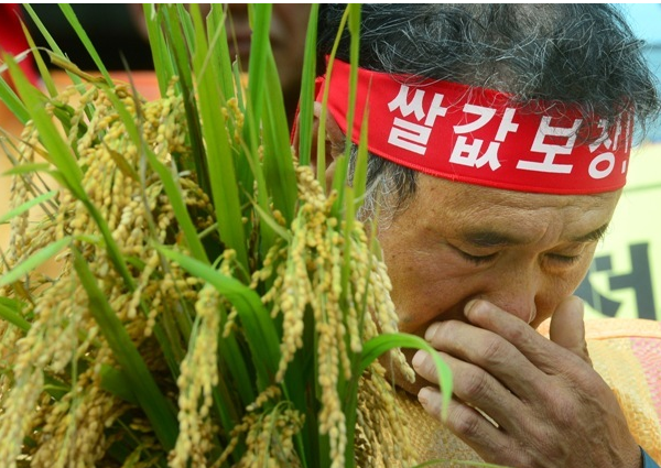 안녕하세요 프리미엄(0)