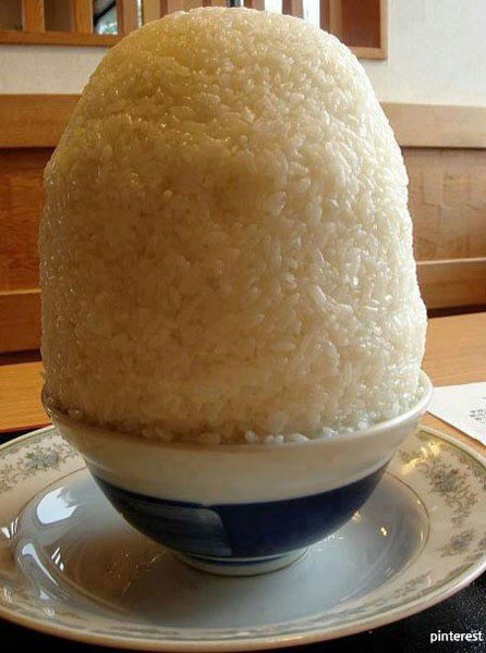 맛저하세요!!1 오늘은 고봉이요 !!!(0)