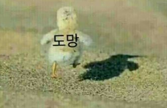 굿모닝 화력이 많이 약하네여(0)