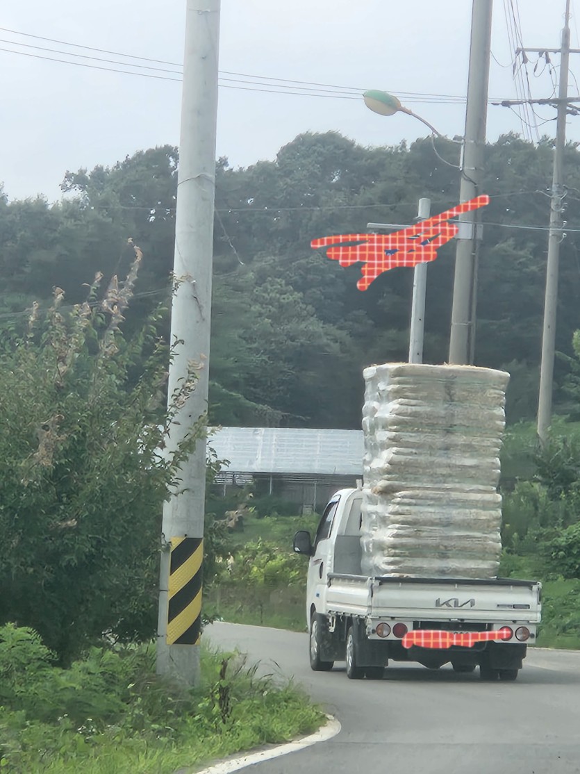 앞차 실화인가요(0)