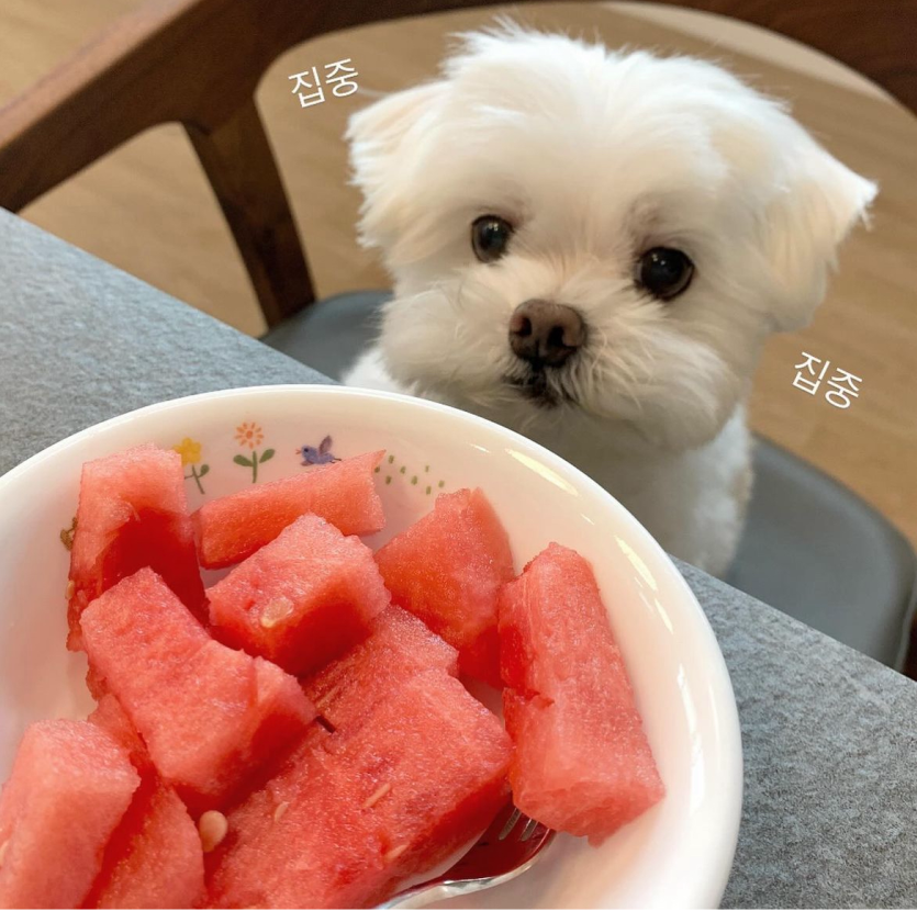 굿모닝입니다!!❤️(0)