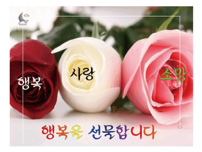 ㅇㅏ 자야 되는데 굿모닝은 못참지!(0)