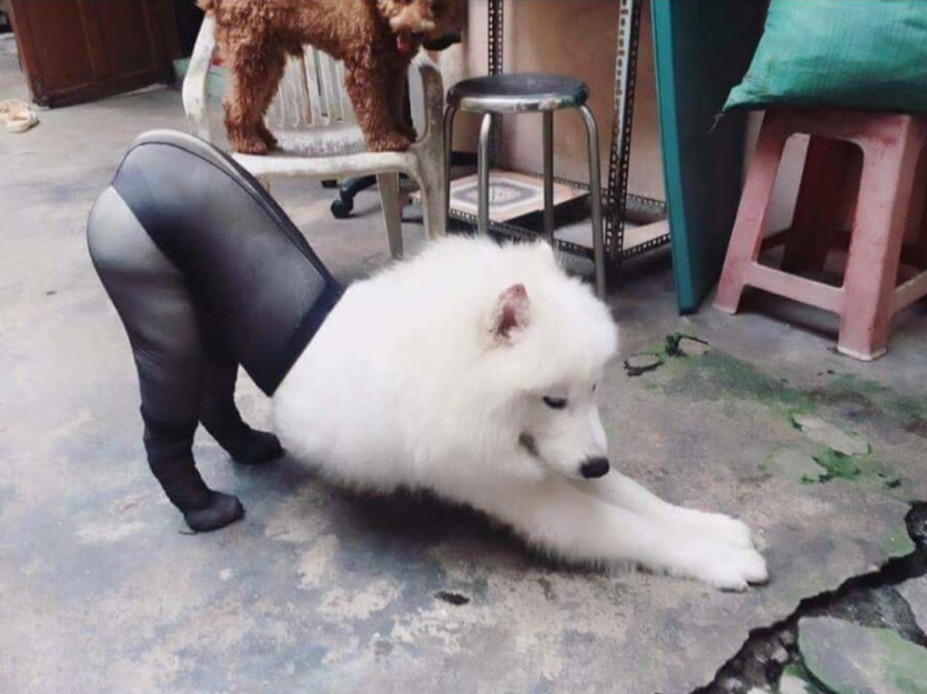카판인생 첫 후방주의 짤 하나 올립니다(0)