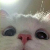 토토 또 다 뿌러졌넹 ㅎ.ㅎ(0)