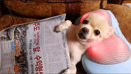 다들 즐거운 퇴근하세요~~(0)