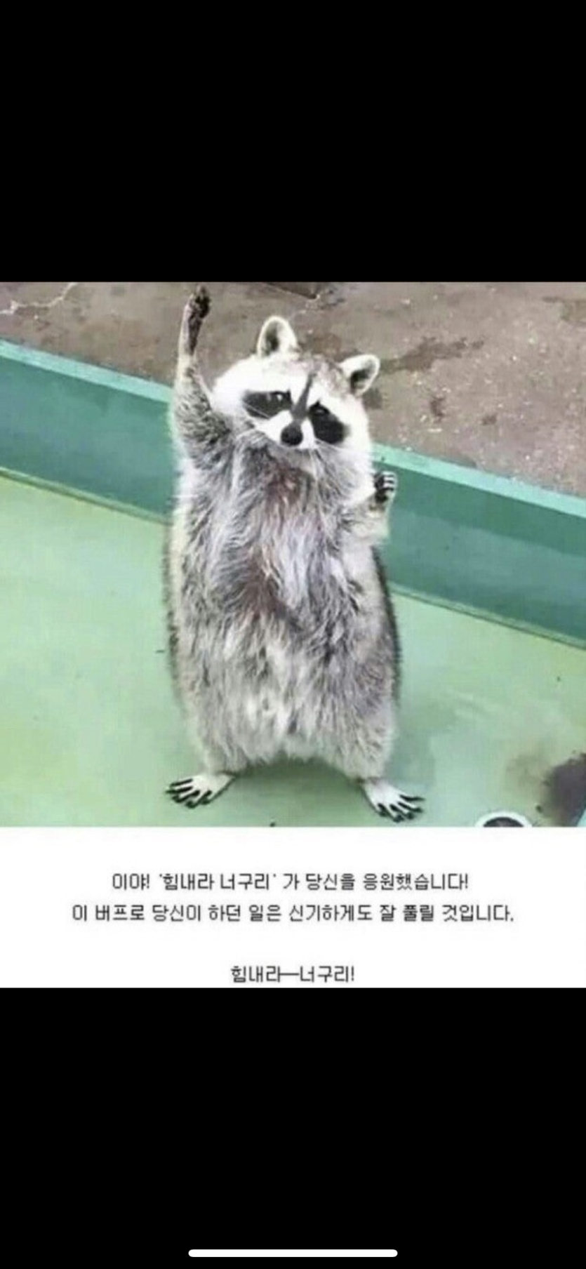 쌀먹 간지 한숨 자고 와서 맛점글 쳐볼려고 하는데(0)