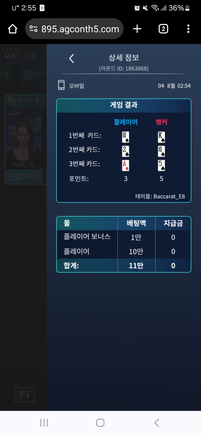 나는 왜 바카라만 하면 고장이 나는가....(0)