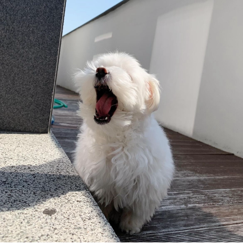 새벽반 여러분 안녕하세여!!(0)