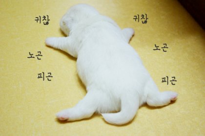 왠지 늦게 잘것같은? 불안한 기운이 ㅠ(0)