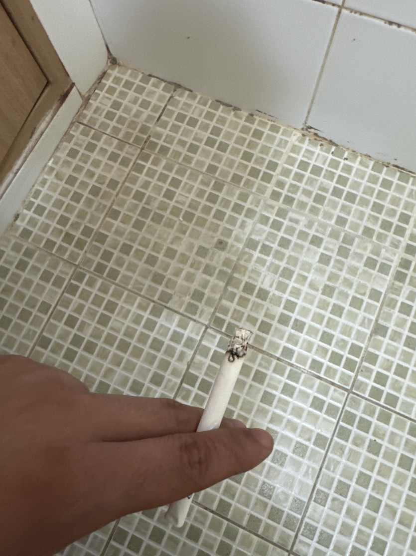 저됴저됴(0)