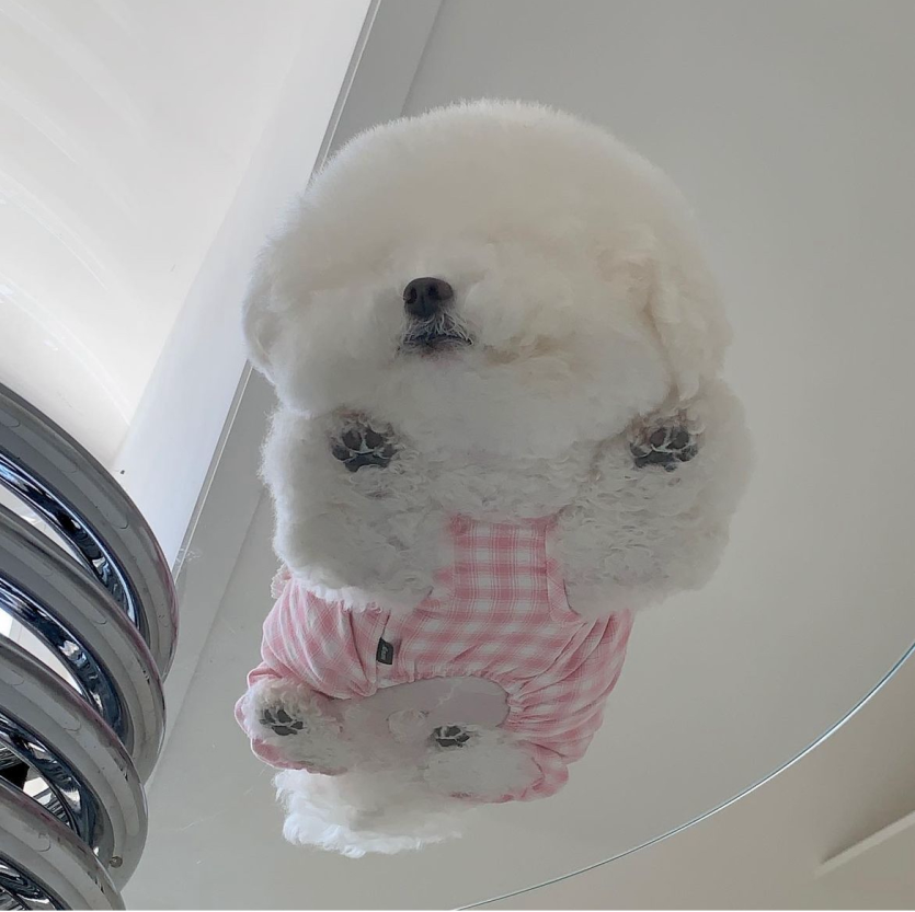 머리 안돌아가서 자러갑니다 ㅠㅠ(0)