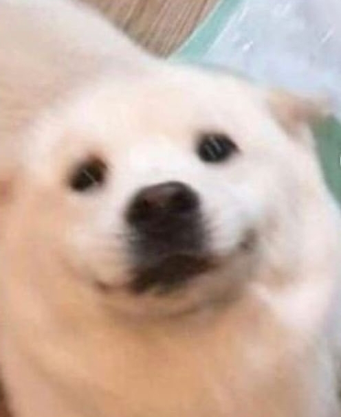 안녕하세요 The럽태오쥬라기보돌쓰프리미엄3h 입니다(0)