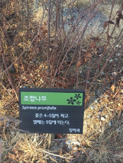 (0)