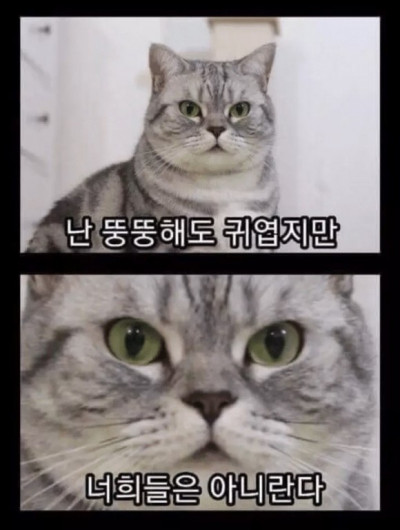 (0)