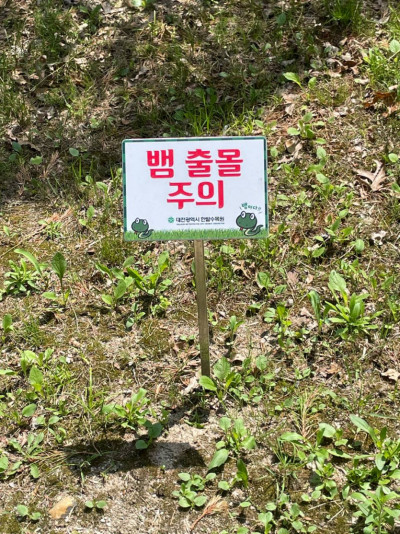 (0)