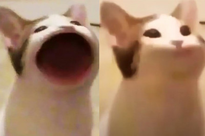 (0)