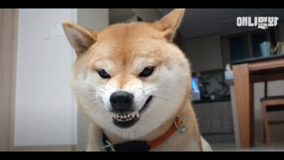 (0)