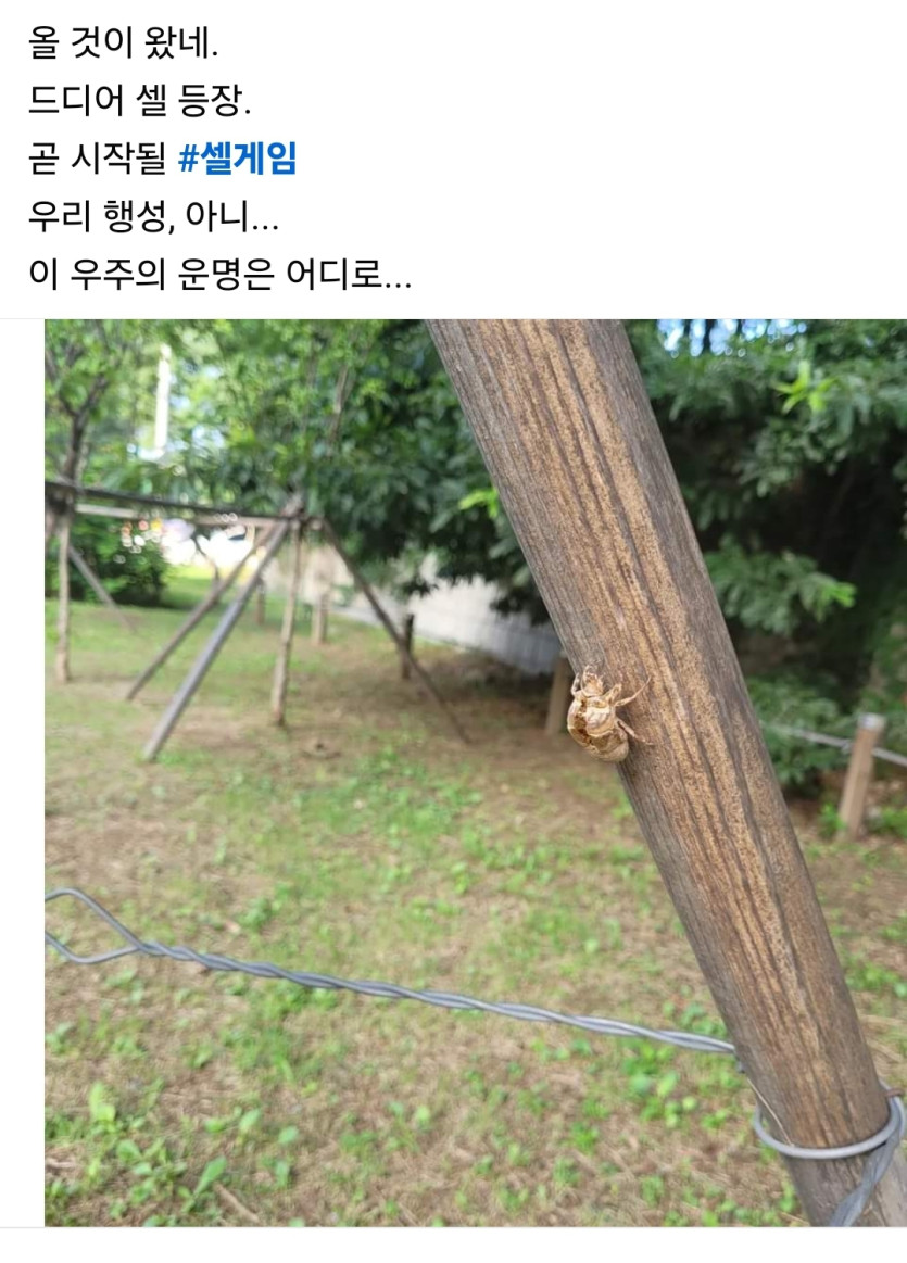 장마가 물러가니...(0)